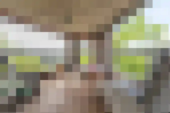 Pieter Calandlaan 668 Amsterdam thumbnail 7