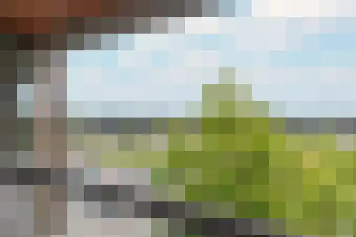 Pieter Calandlaan 668 Amsterdam thumbnail 9