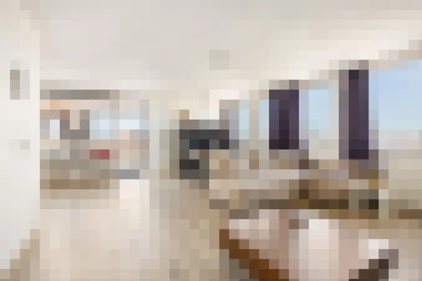 Pieter Calandlaan 696 Amsterdam thumbnail 10