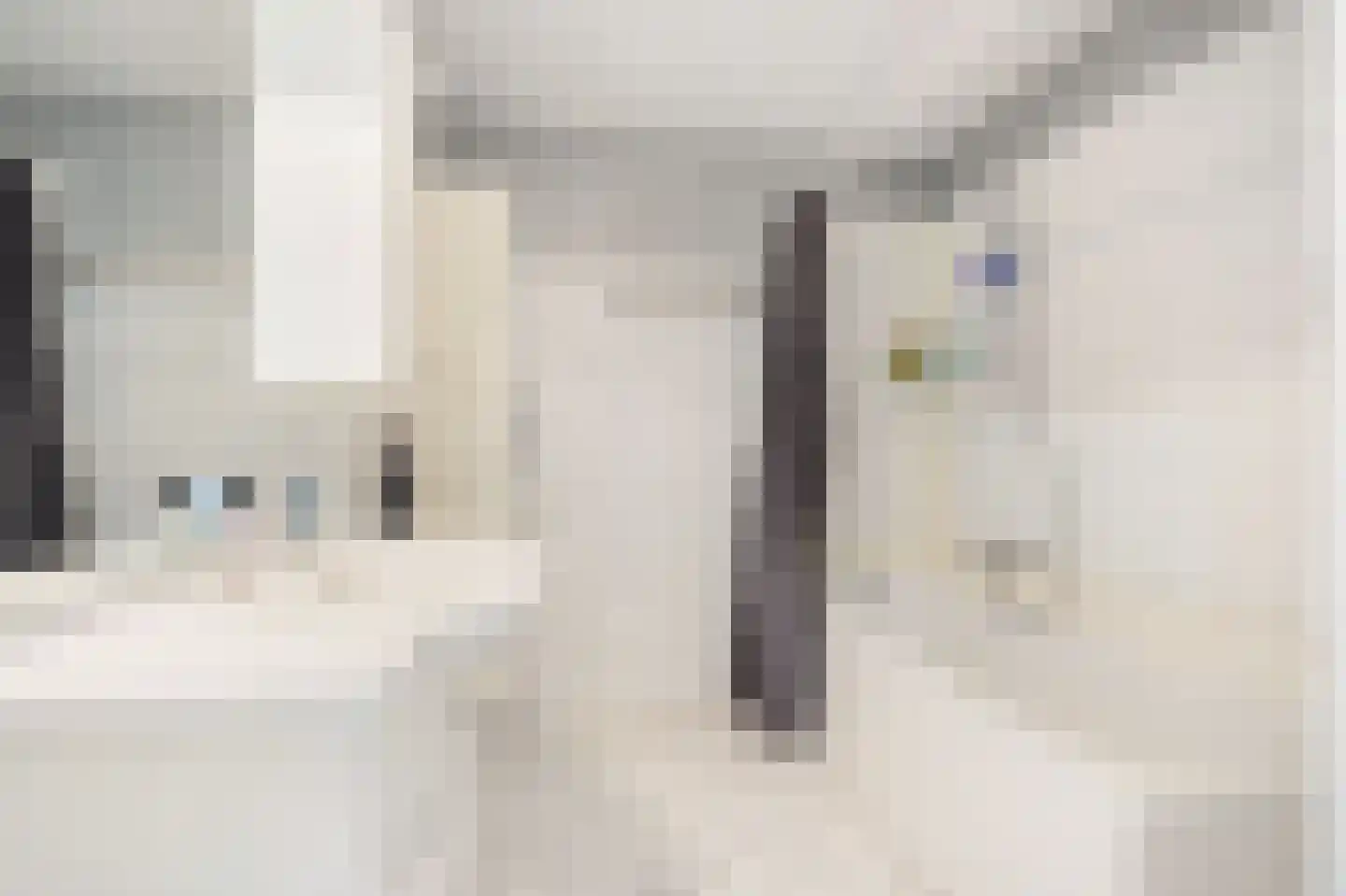 Pieter Calandlaan 696 Amsterdam thumbnail 20
