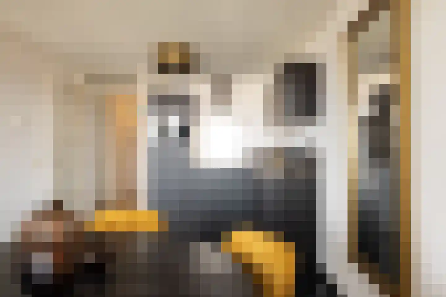 Pieter Calandlaan 720 Amsterdam thumbnail 13