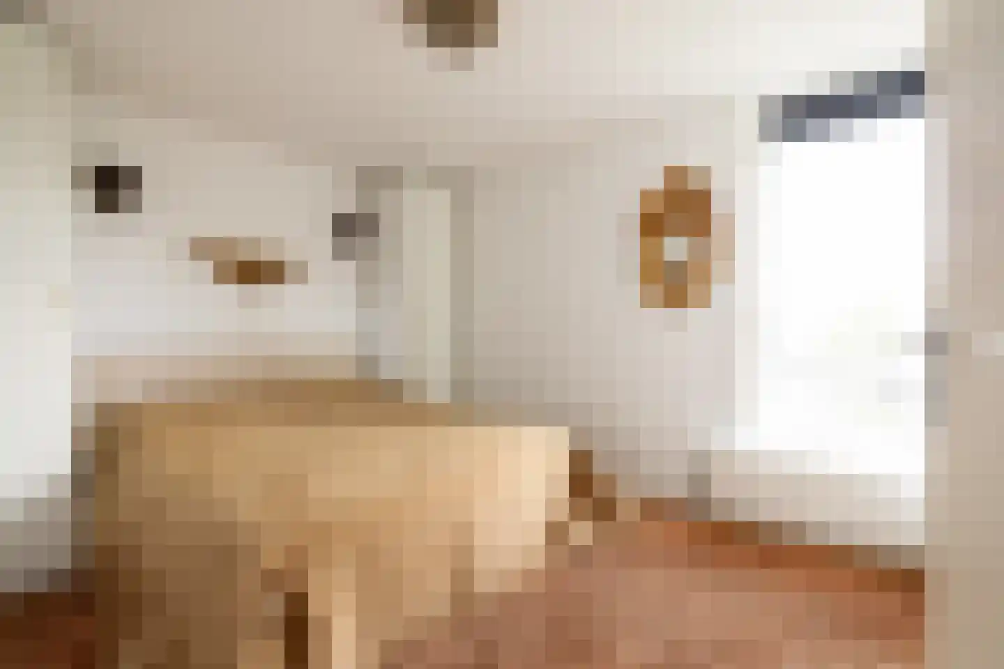 Pieter Calandlaan 720 Amsterdam thumbnail 15