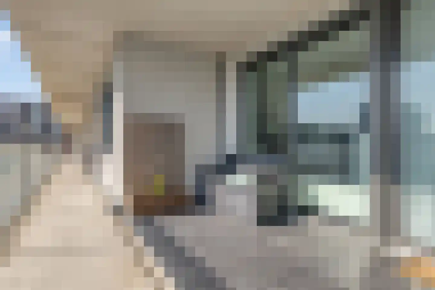 Pieter Calandlaan 795 Amsterdam thumbnail 24