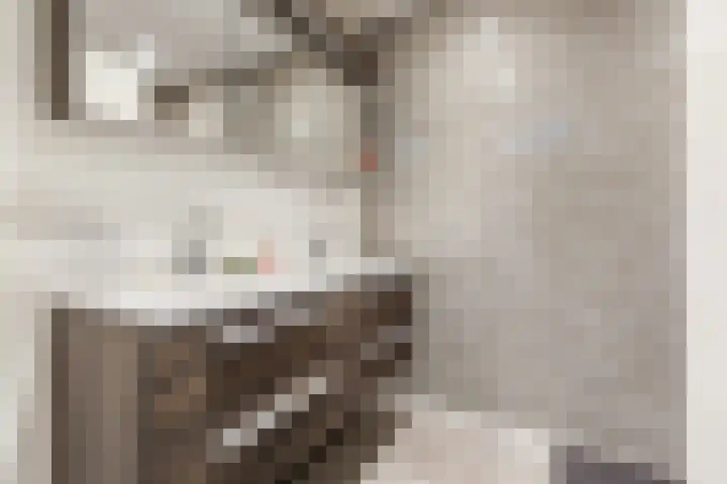 Pieter Calandlaan 841 Amsterdam thumbnail 14