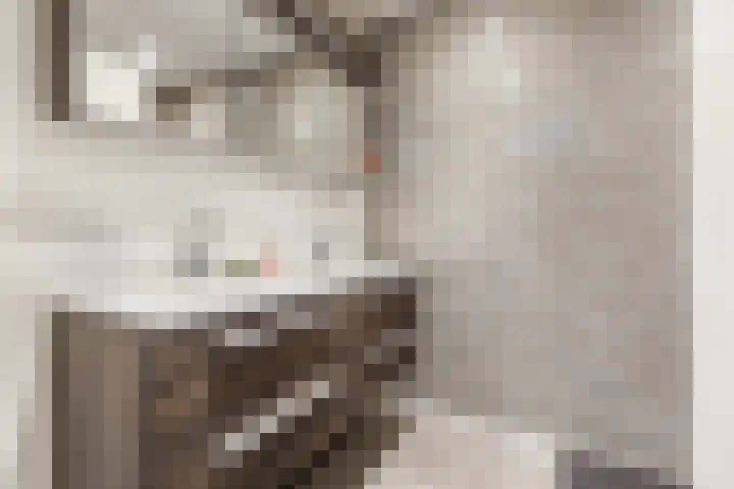 Pieter Calandlaan 841 Amsterdam thumbnail 14