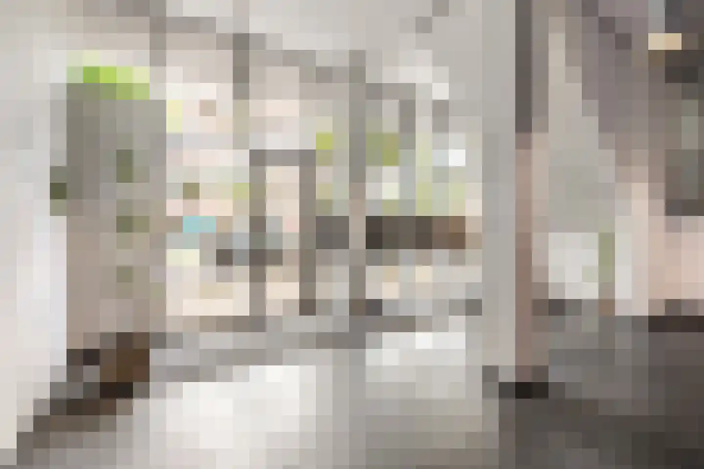 Pieter Calandlaan 841 Amsterdam thumbnail 21