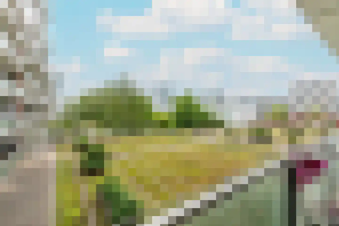 Pieter Calandlaan 841 Amsterdam thumbnail 8