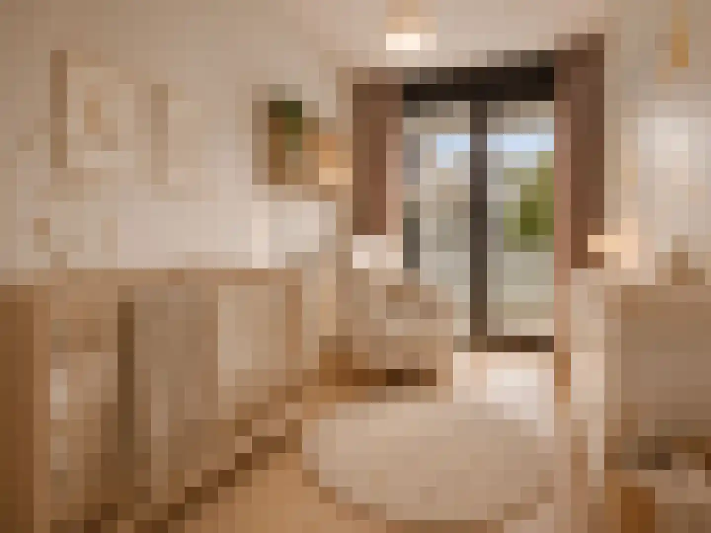 Pieter Calandlaan 843 Amsterdam thumbnail 15