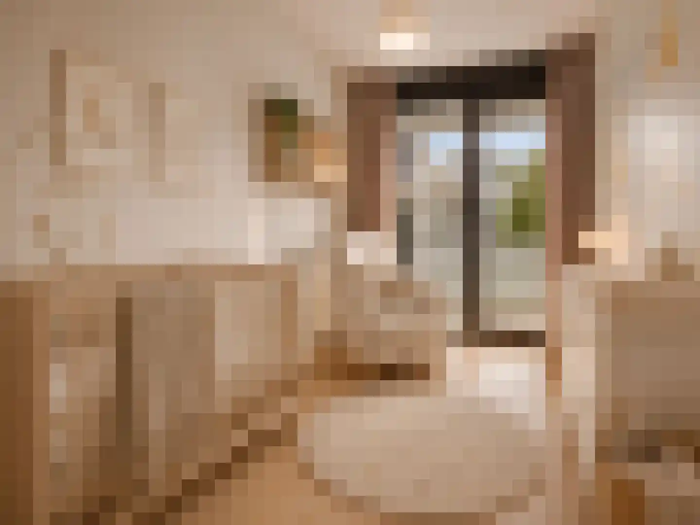 Pieter Calandlaan 843 Amsterdam thumbnail 18