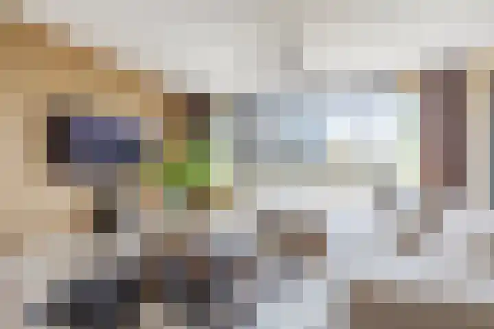 Pieter Calandlaan 859 Amsterdam thumbnail 5