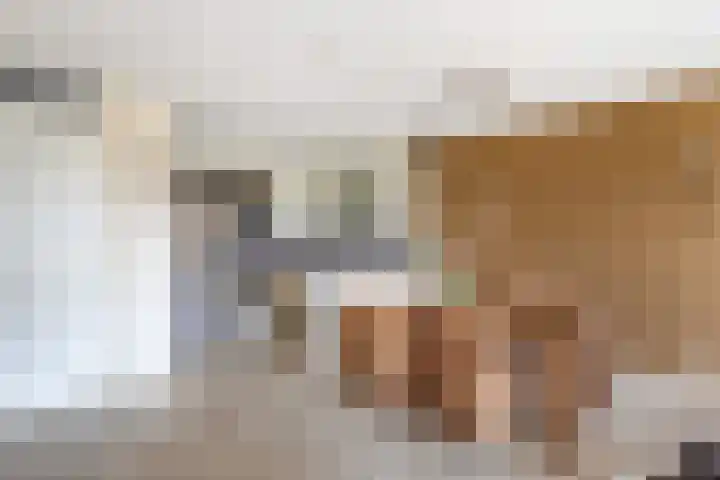 Pieter Calandlaan 859 Amsterdam thumbnail 8