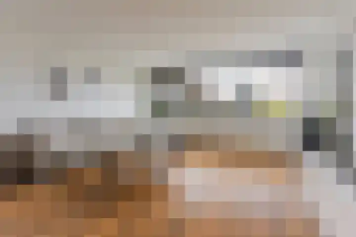 Pieter Calandlaan 867 Amsterdam thumbnail 12