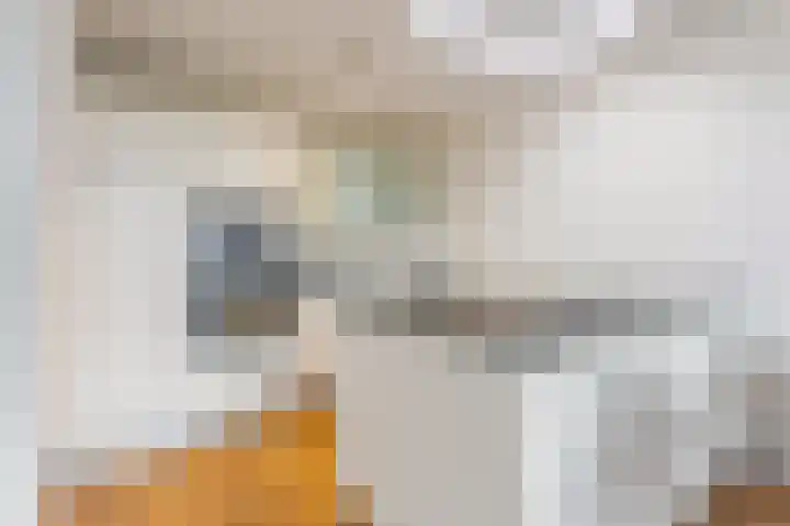 Pieter Calandlaan 867 Amsterdam thumbnail 13