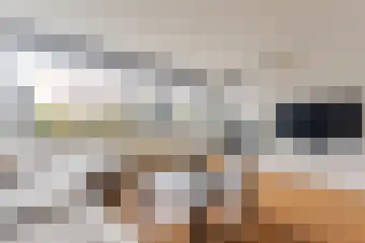 Pieter Calandlaan 867 Amsterdam thumbnail 16