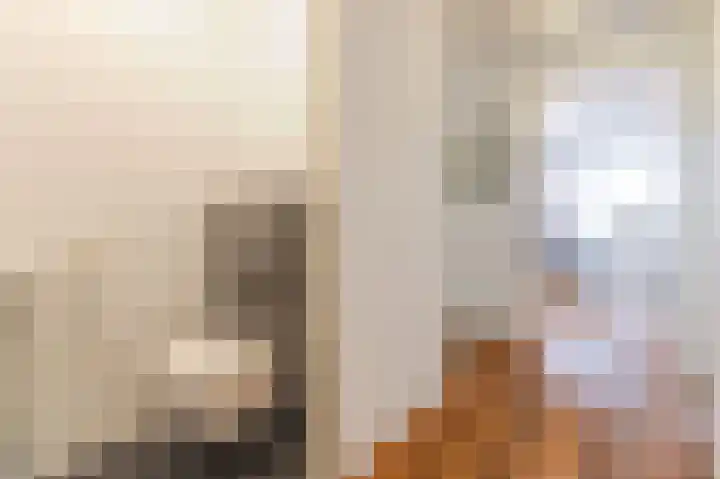 Pieter Calandlaan 867 Amsterdam thumbnail 29