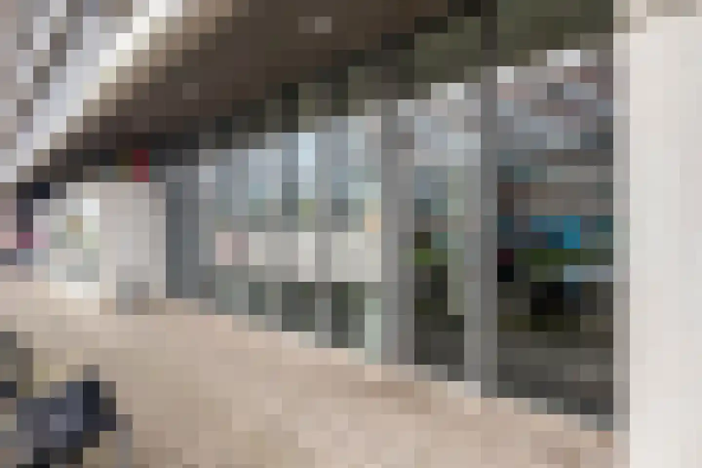 Pieter Calandlaan 875 Amsterdam thumbnail 24
