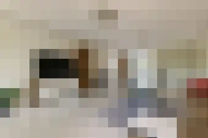 Pieter Calandlaan 895 Amsterdam thumbnail 6