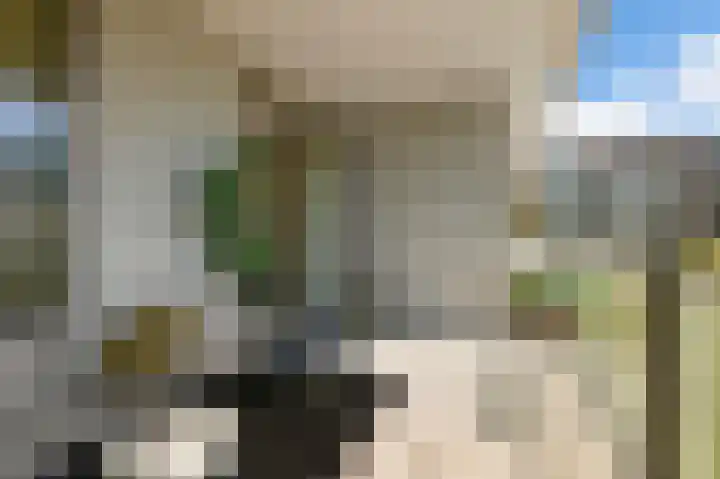Pieter Calandlaan 895 Amsterdam thumbnail 9