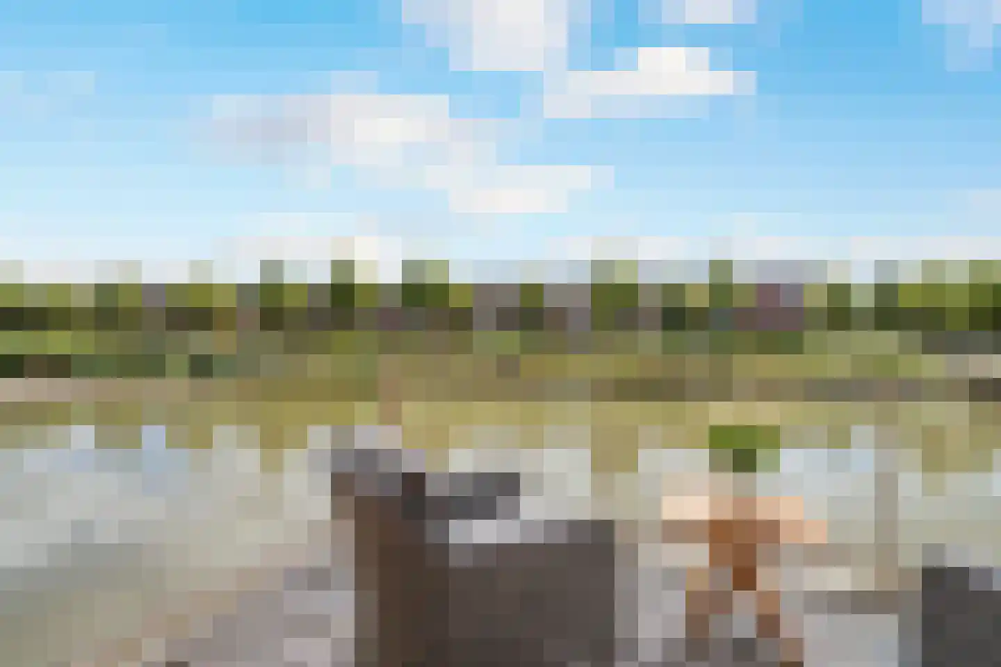 Pieter Cheeuwenlaan 40 Beverwijk thumbnail 20