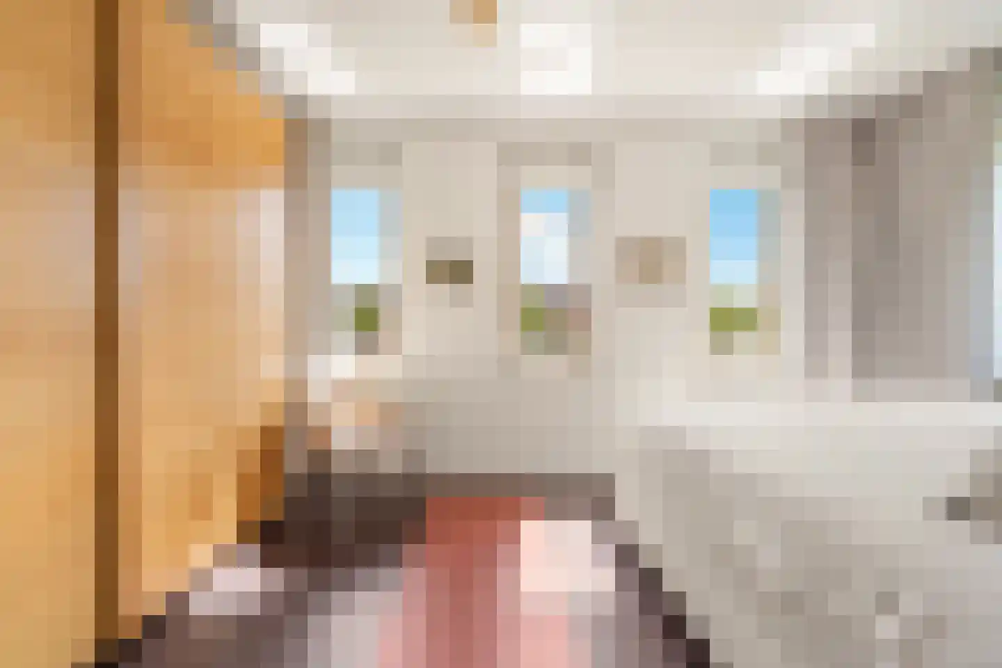 Pieter Cheeuwenlaan 40 Beverwijk thumbnail 25
