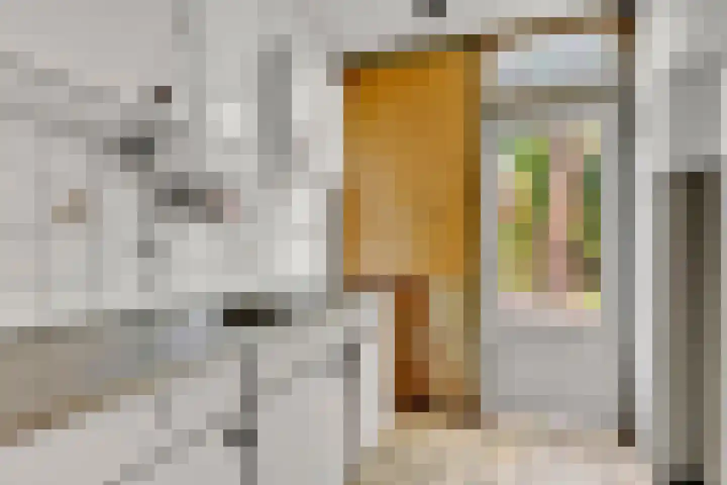 Pieter Coopmansstraat 27 Bolsward thumbnail 13
