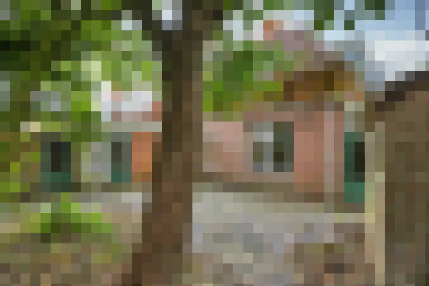 Pieter Coopmansstraat 27 Bolsward thumbnail 36