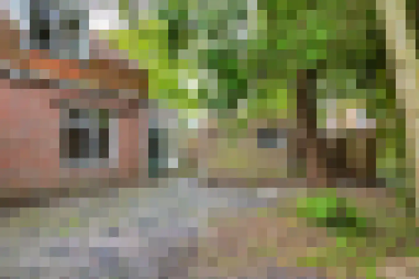 Pieter Coopmansstraat 27 Bolsward thumbnail 38