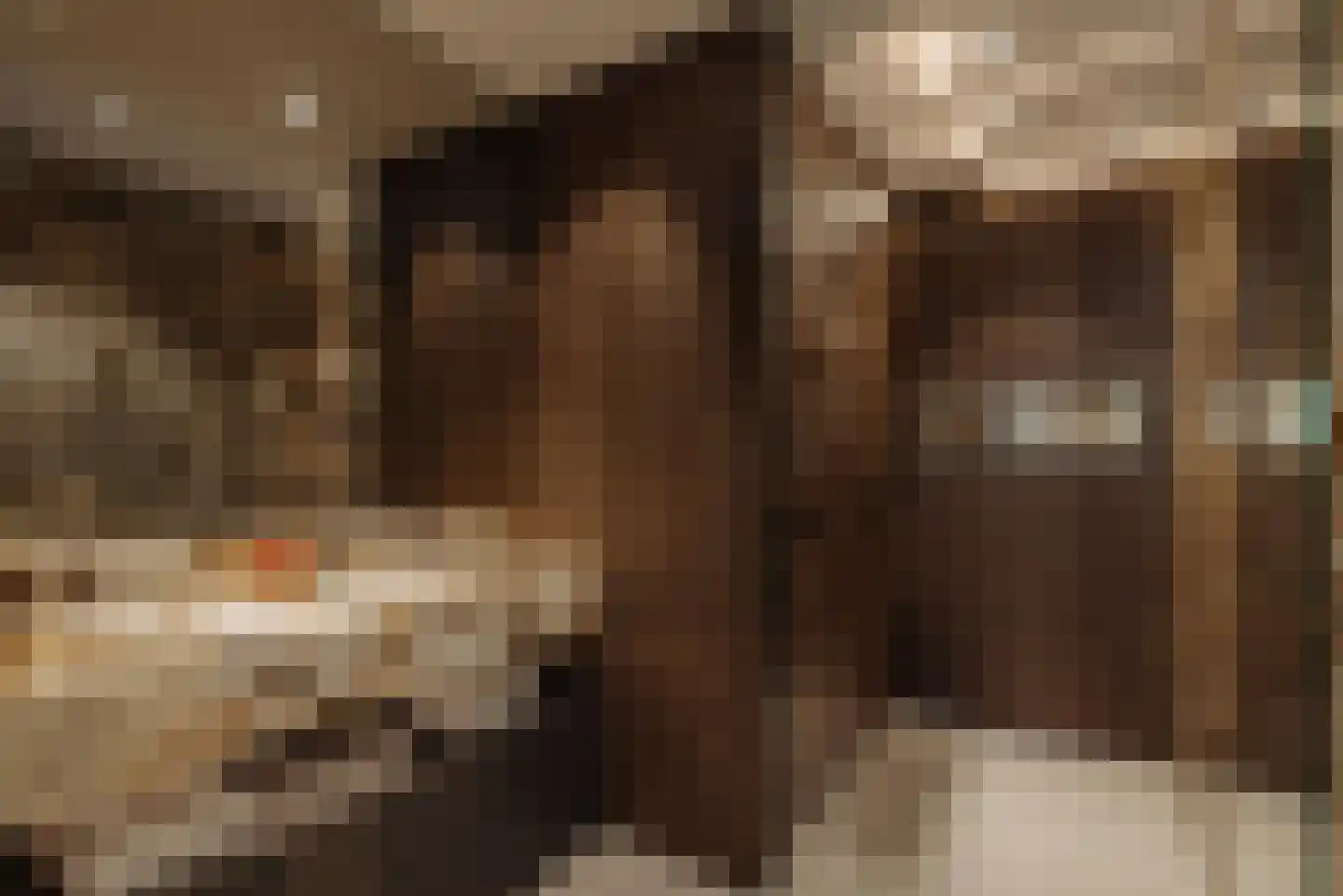 Pieter Cornelisz. Hooftstraat 13 Amsterdam thumbnail 16