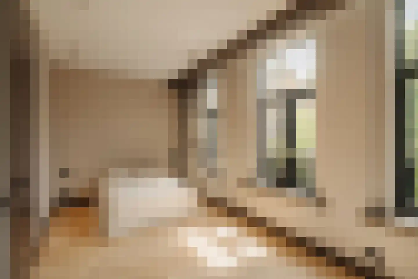 Pieter Cornelisz. Hooftstraat 13 Amsterdam thumbnail 26