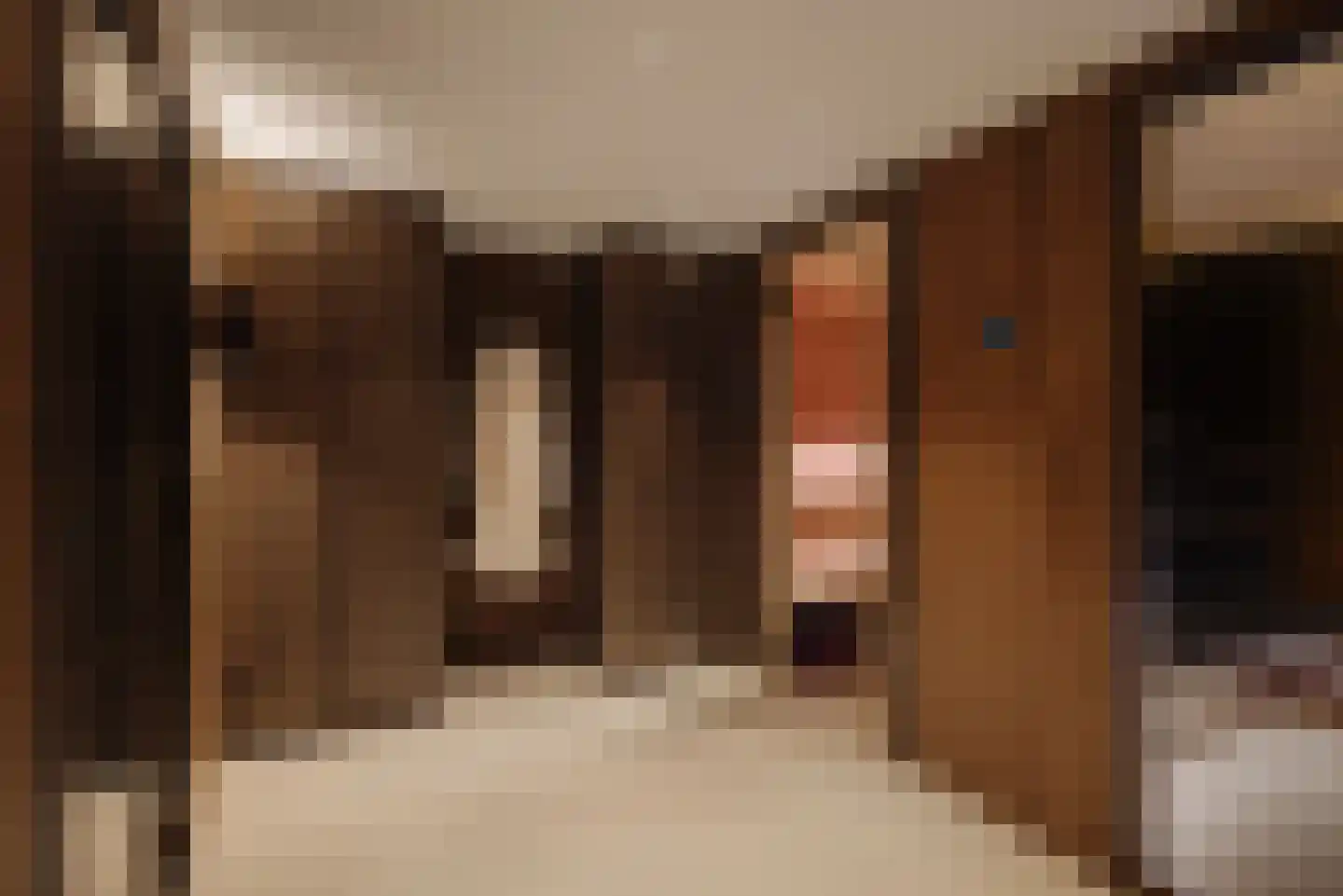 Pieter Cornelisz. Hooftstraat 13 Amsterdam thumbnail 34
