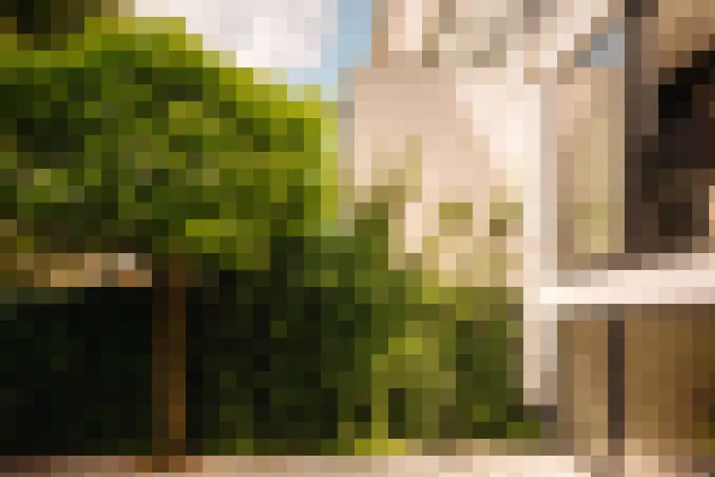 Pieter Cornelisz. Hooftstraat 13 Amsterdam thumbnail 39