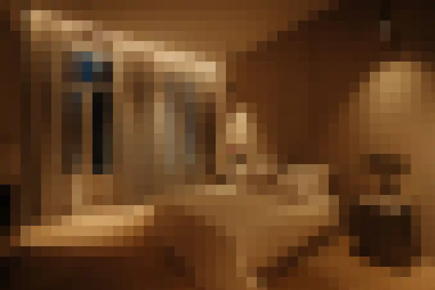 Pieter Cornelisz. Hooftstraat 13 Amsterdam thumbnail 47