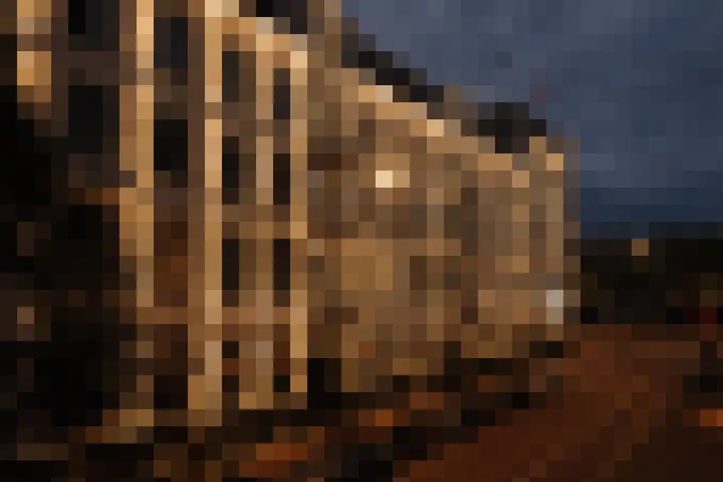 Pieter Cornelisz. Hooftstraat 13 Amsterdam thumbnail 52