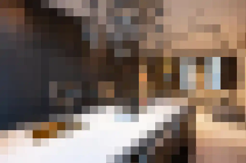 Pieter Cornelisz. Hooftstraat 144 H Amsterdam thumbnail 7