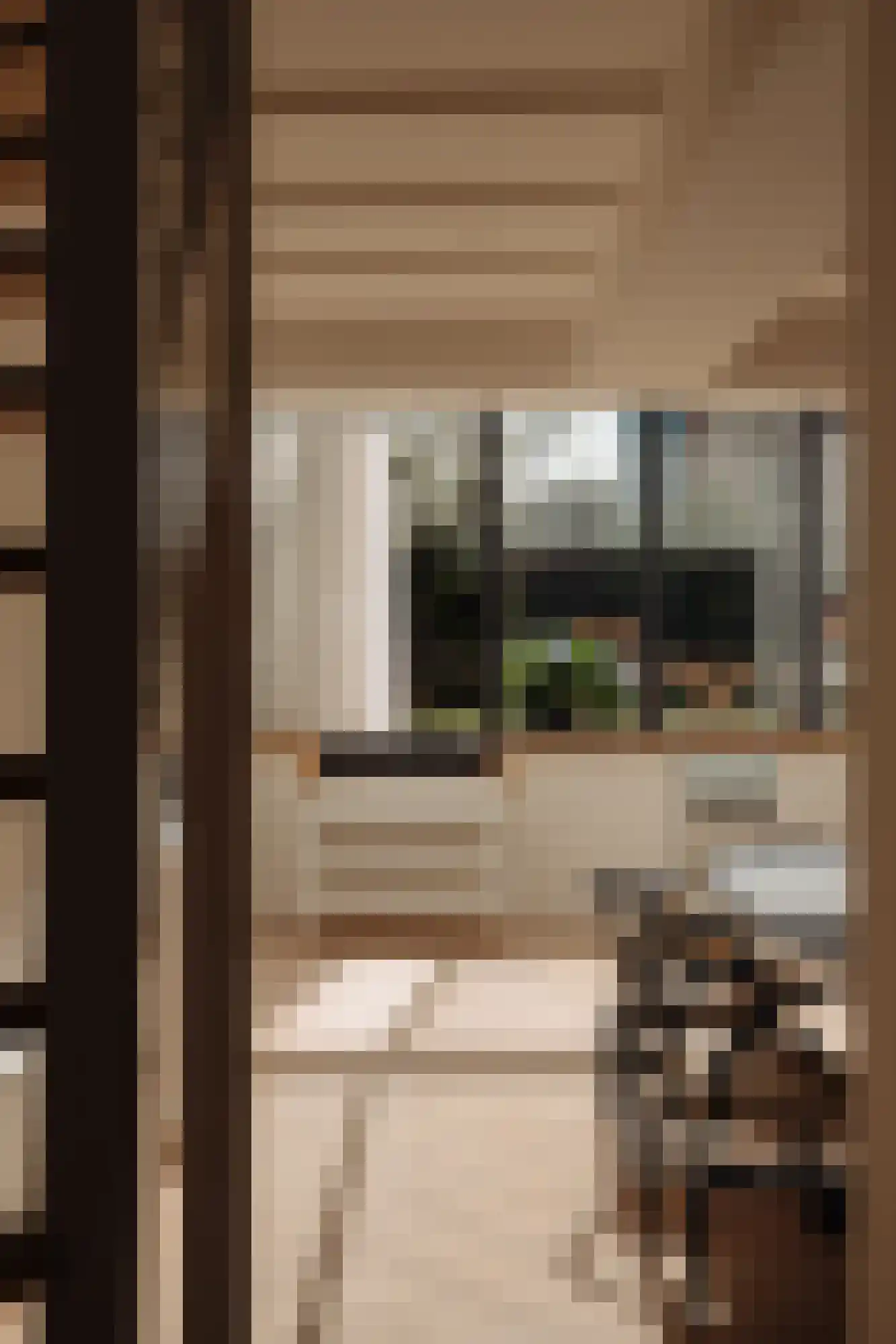 Pieter Cornelisz. Hooftstraat 149 Amsterdam thumbnail 12