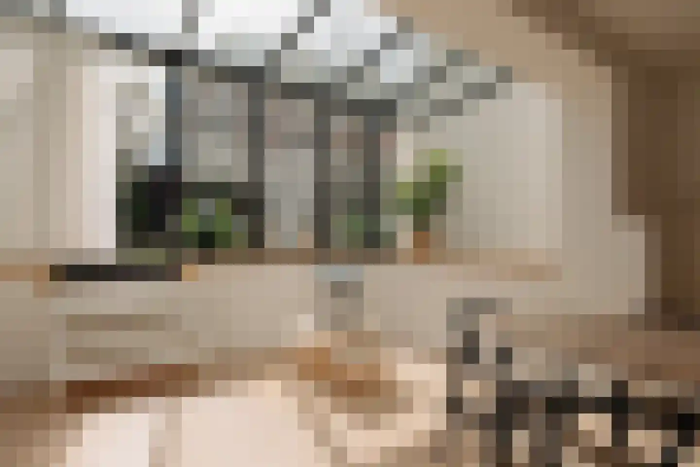 Pieter Cornelisz. Hooftstraat 149 Amsterdam thumbnail 13