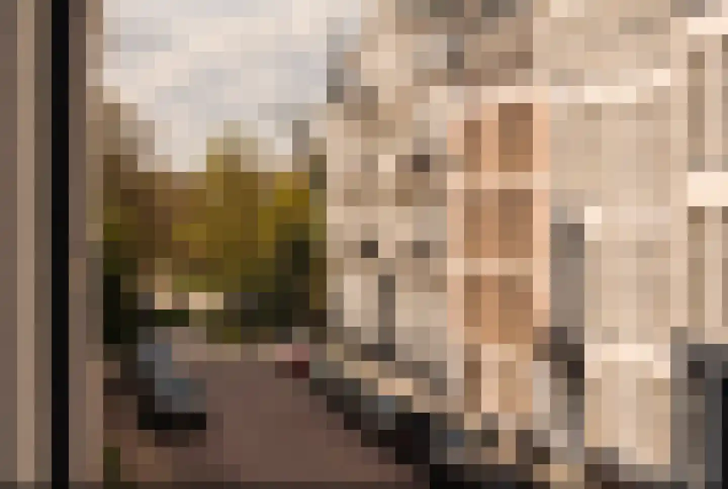 Pieter Cornelisz. Hooftstraat 149 Amsterdam thumbnail 23