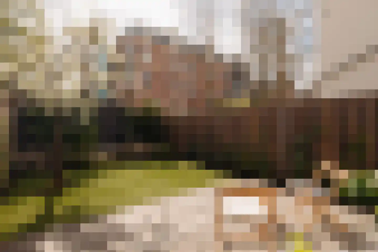 Pieter Cornelisz. Hooftstraat 149 Amsterdam thumbnail 42