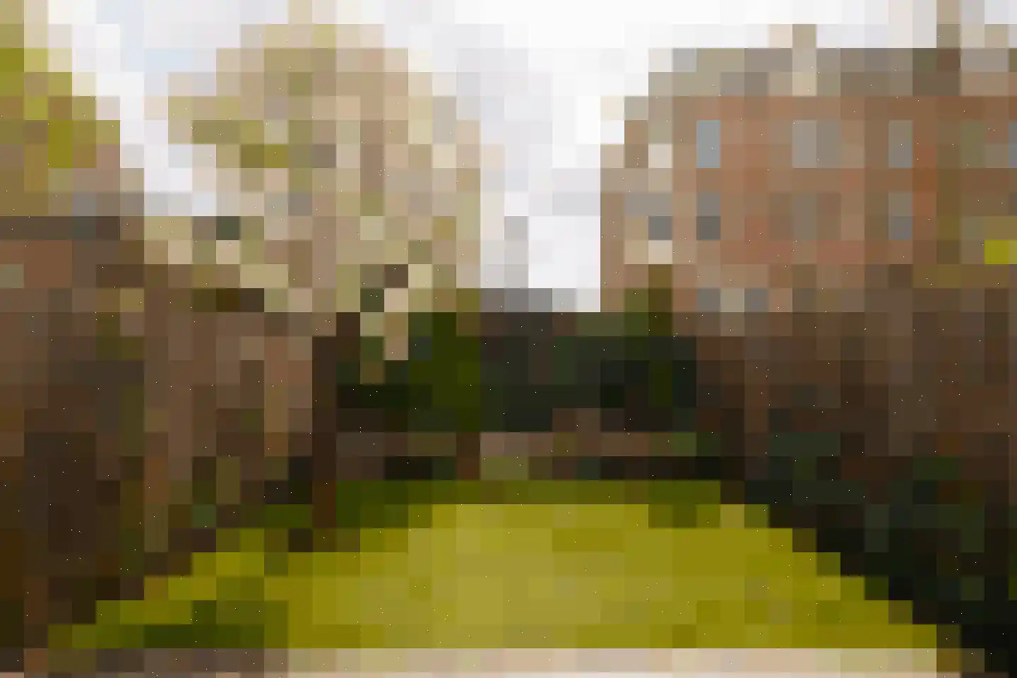 Pieter Cornelisz. Hooftstraat 149 Amsterdam thumbnail 44