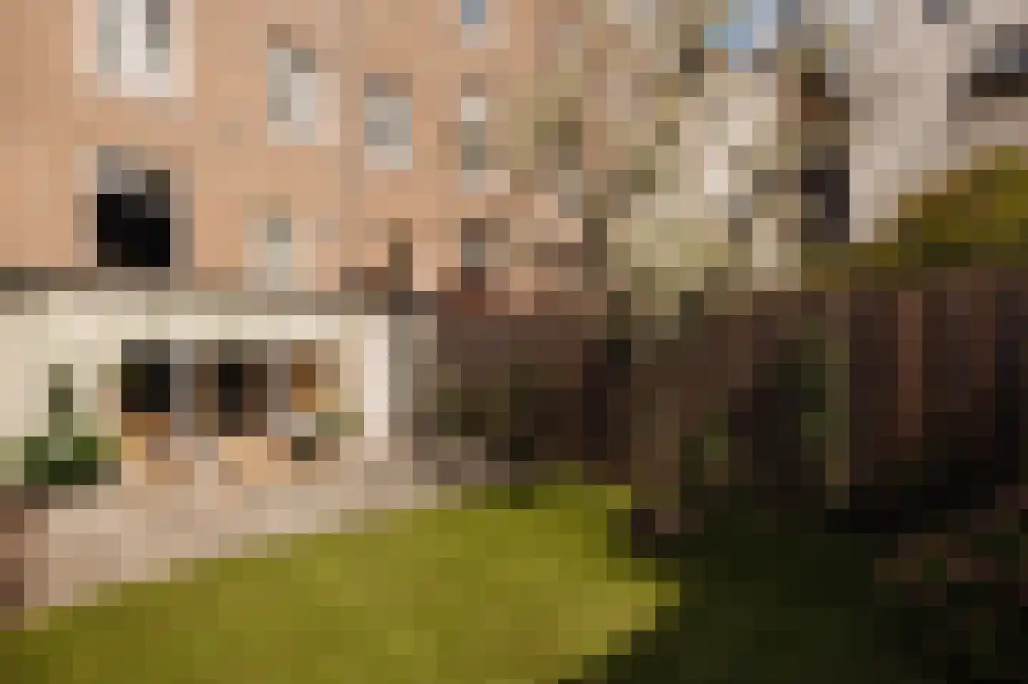 Pieter Cornelisz. Hooftstraat 149 Amsterdam thumbnail 6