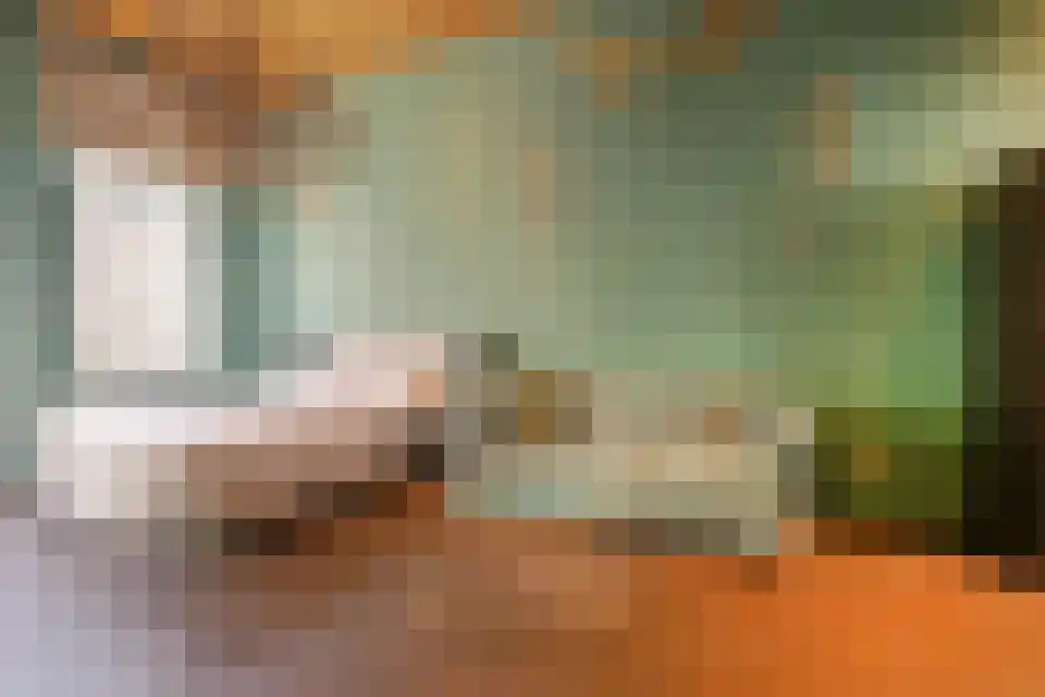 Pieter Cornelisz. Hooftstraat 15 Amsterdam thumbnail 6
