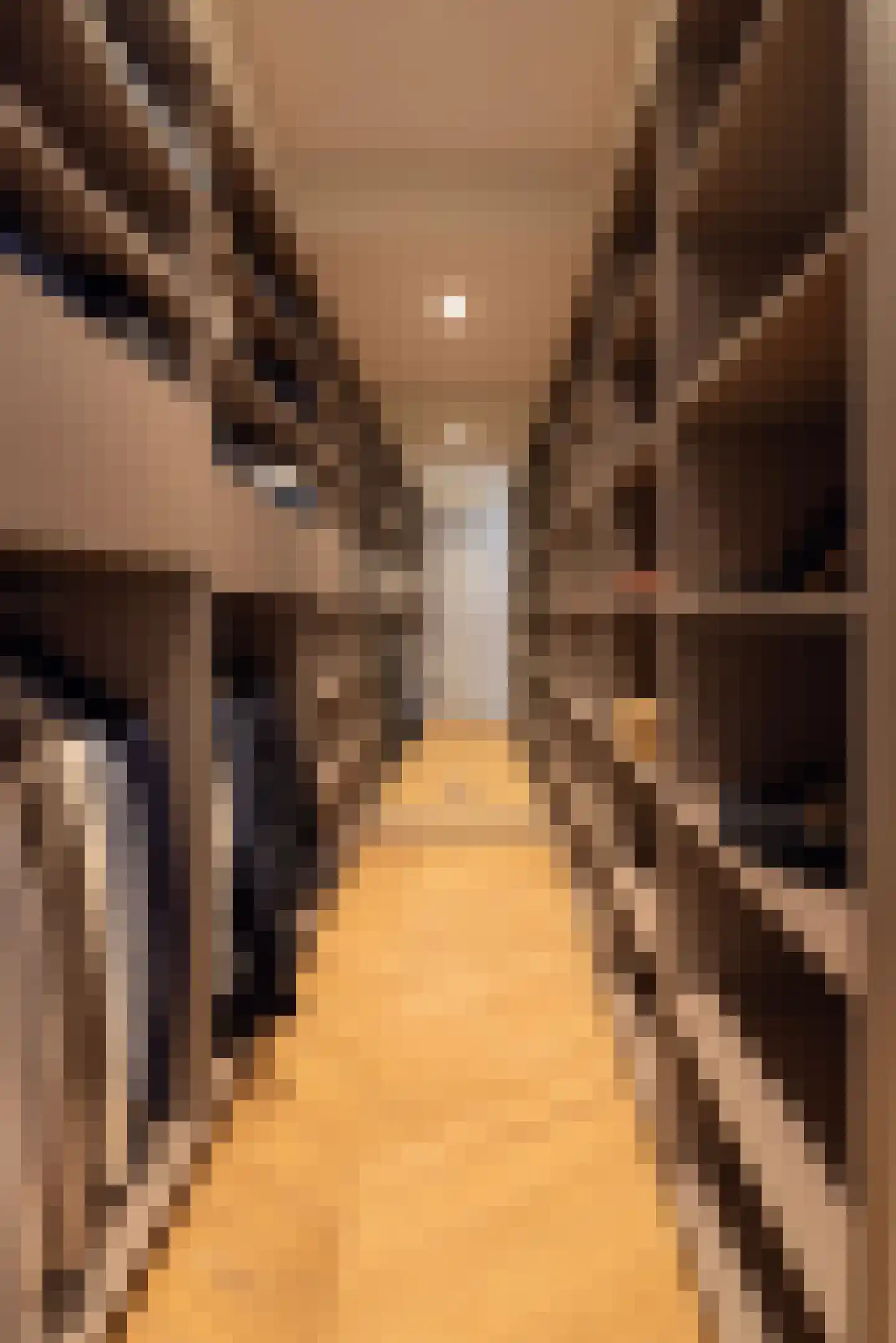 Pieter Cornelisz. Hooftstraat 152 A Amsterdam thumbnail 22