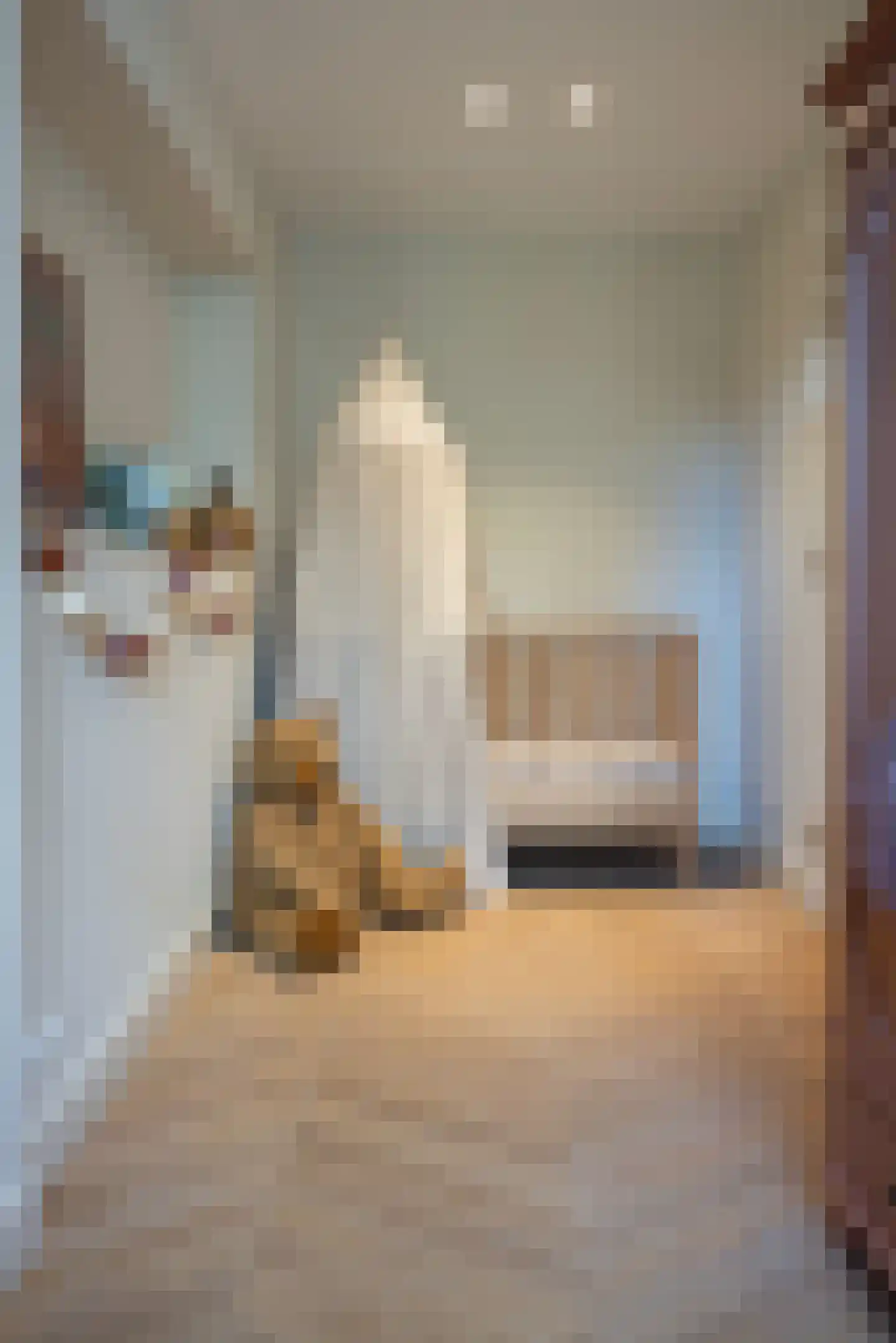 Pieter Cornelisz. Hooftstraat 152 A Amsterdam thumbnail 32