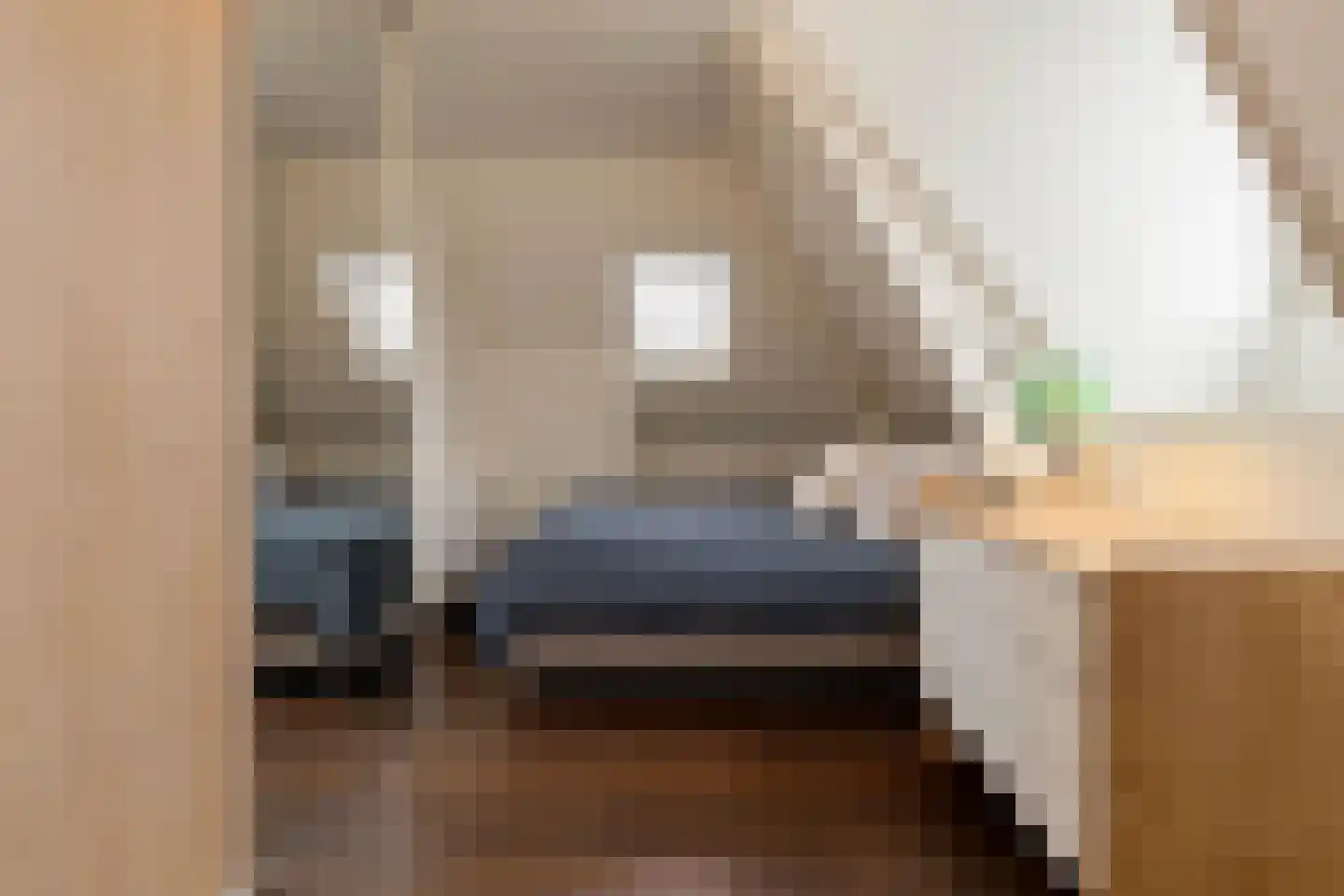 Pieter Cornelisz. Hooftstraat 165 1 Amsterdam thumbnail 19