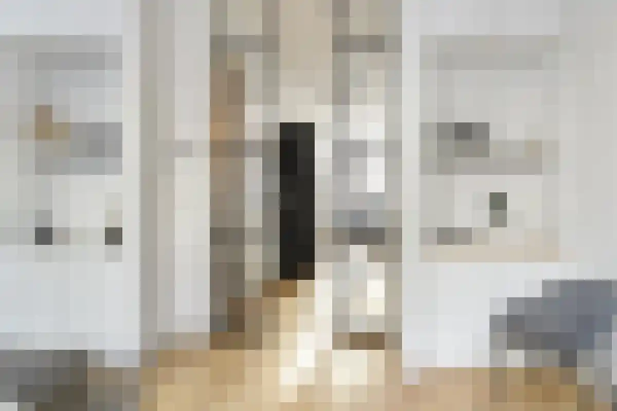 Pieter Cornelisz. Hooftstraat 17 Amsterdam thumbnail 5