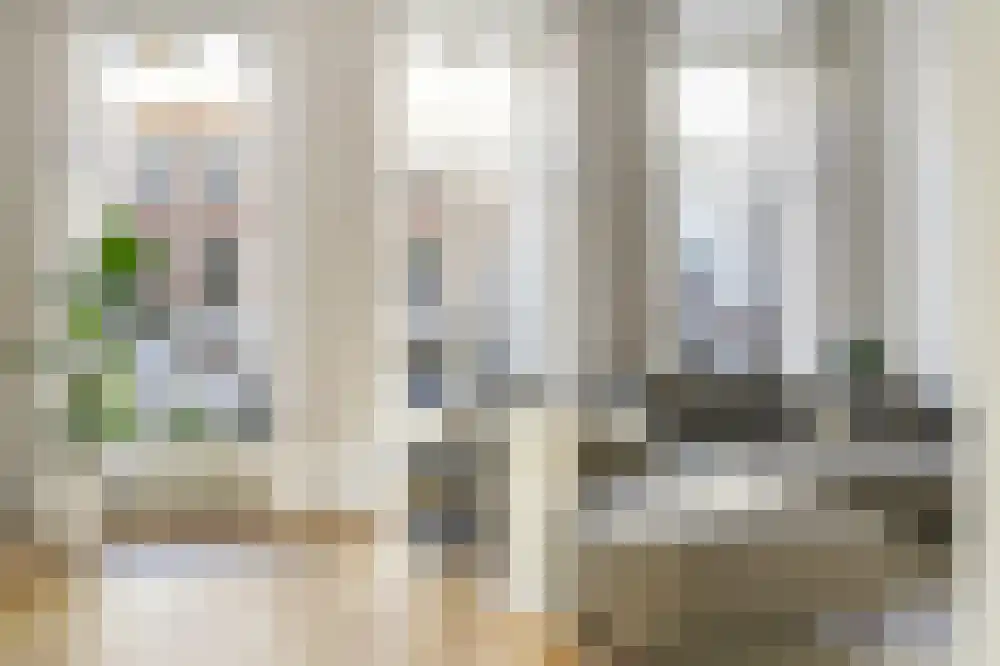 Pieter Cornelisz. Hooftstraat 17 Amsterdam thumbnail 8