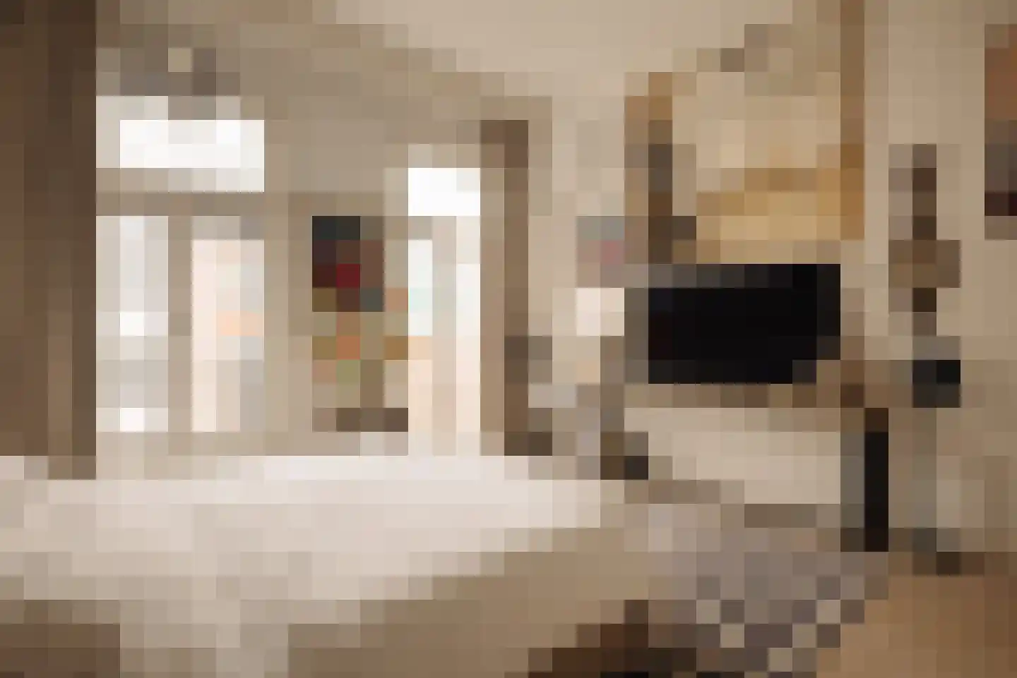 Pieter Cornelisz. Hooftstraat 210 Amsterdam thumbnail 19
