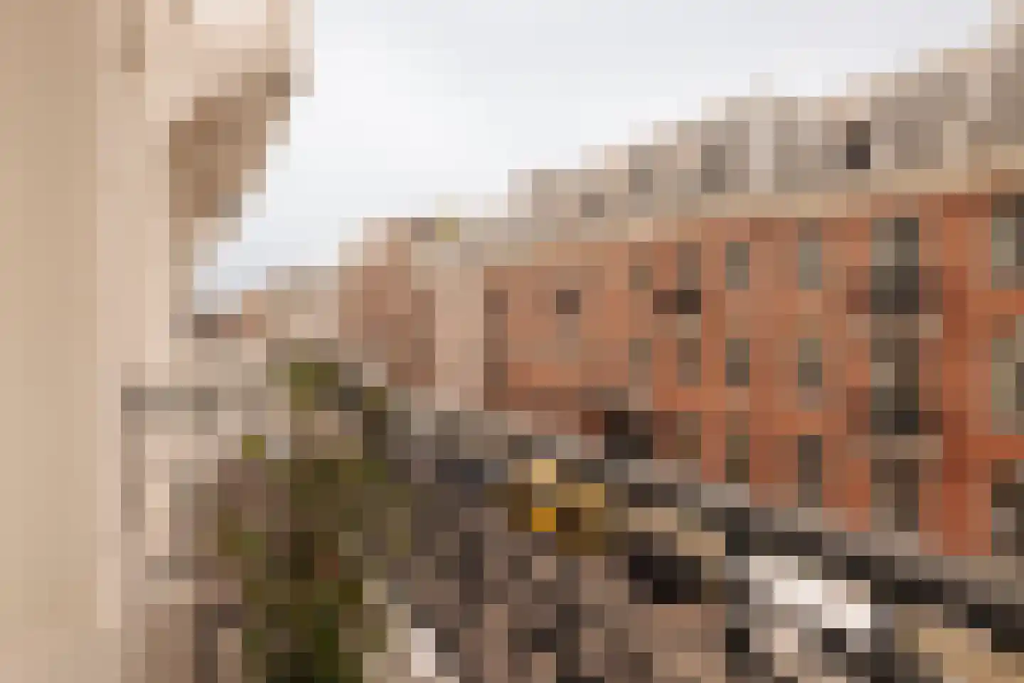 Pieter Cornelisz. Hooftstraat 210 Amsterdam thumbnail 21