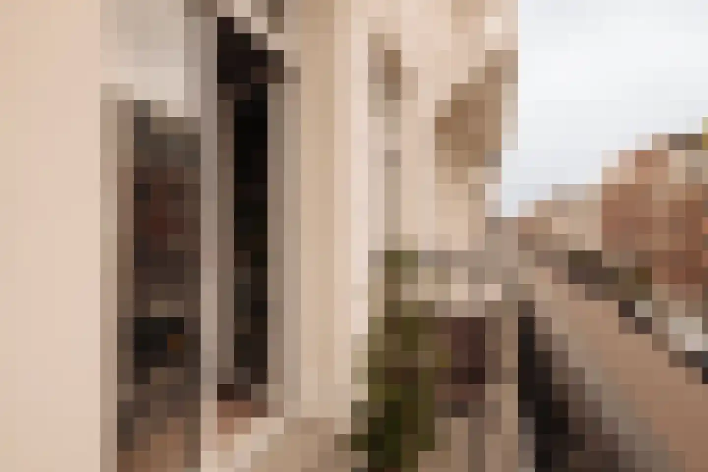 Pieter Cornelisz. Hooftstraat 210 Amsterdam thumbnail 22