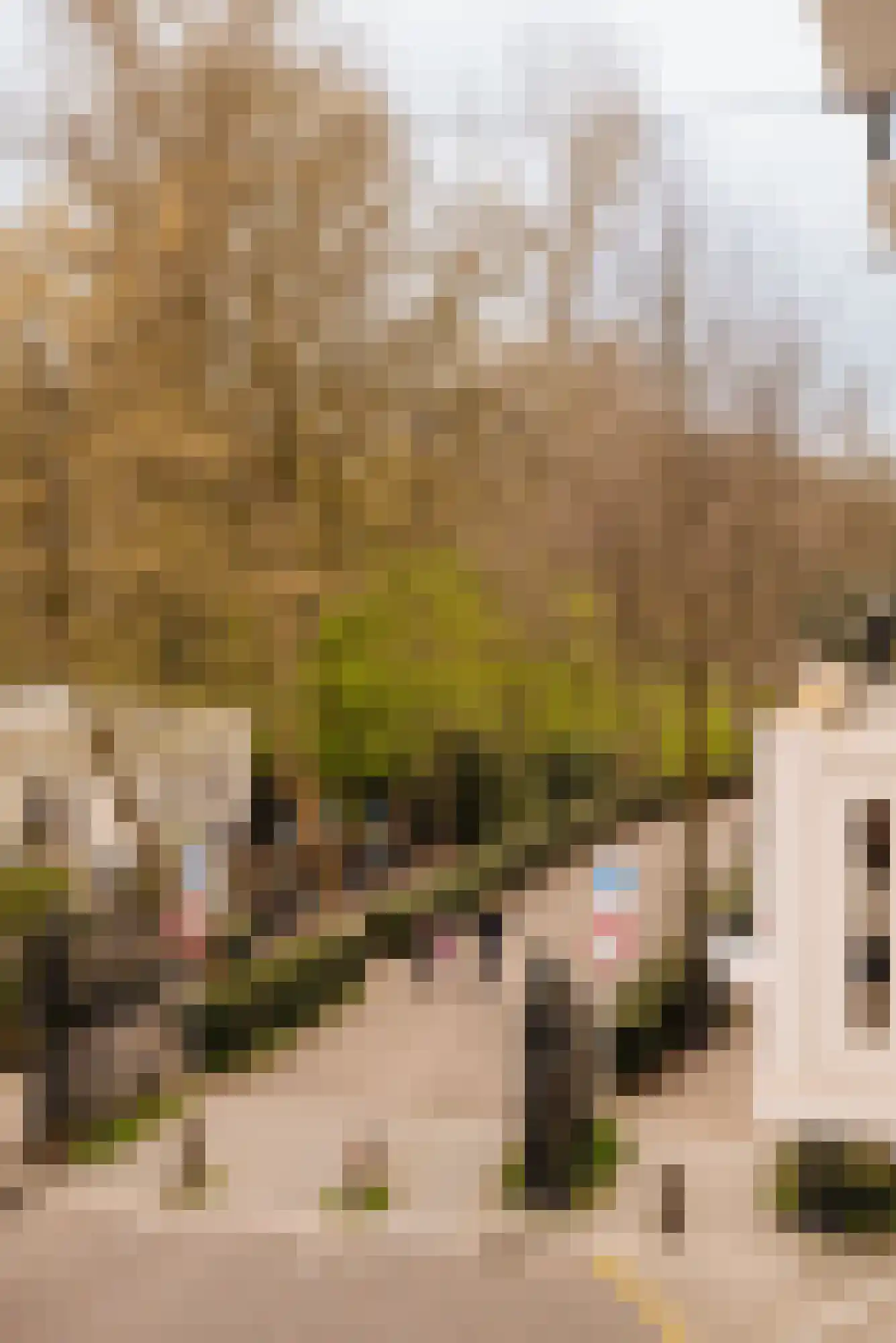 Pieter Cornelisz. Hooftstraat 210 Amsterdam thumbnail 23